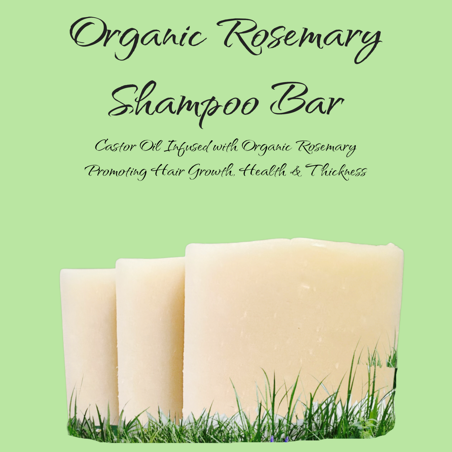 Organic Rosemary Shampoo Bar