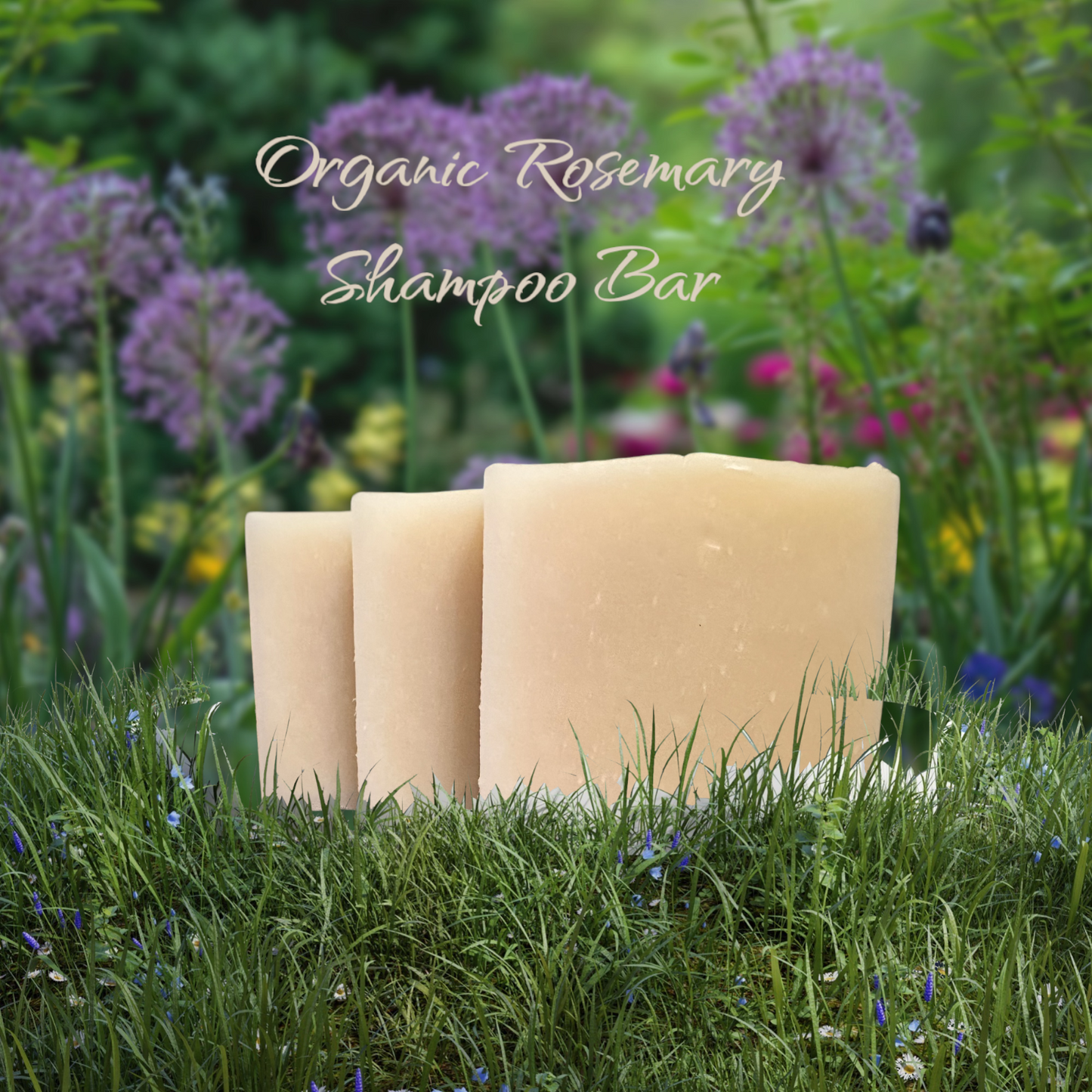 Rosemary Infused Castor Oil Shampoo Bar