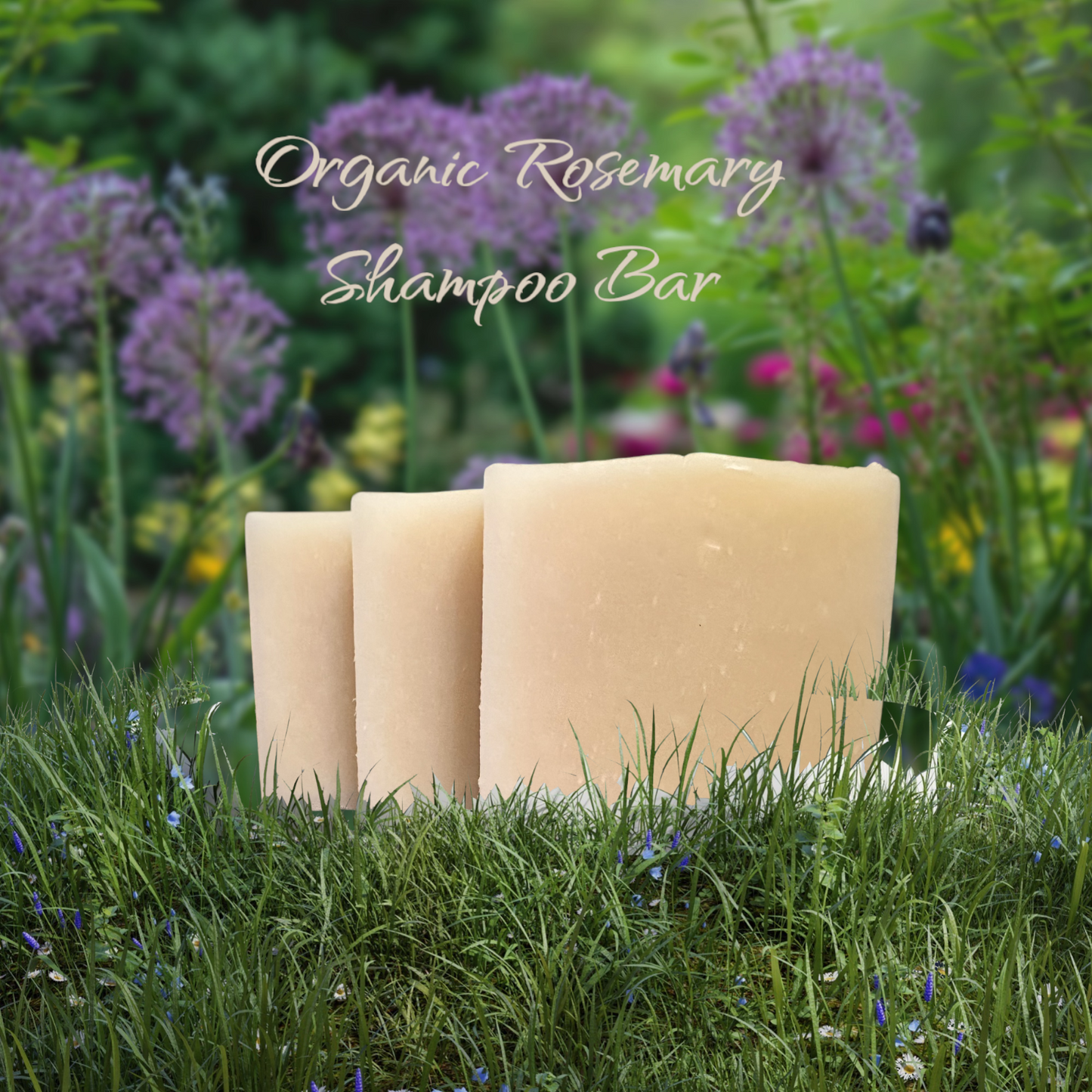 Organic Rosemary Shampoo Bar